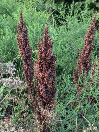 Northern Dock — photo 1